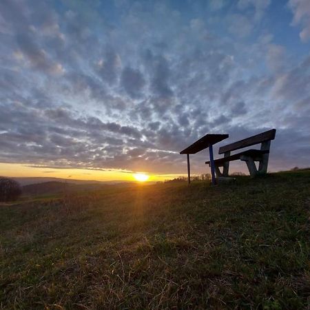 Ferienhaus Erzgebirge "An Der Trebe" Mit Kamin Und Sauna Neuhausen  Exteriér fotografie