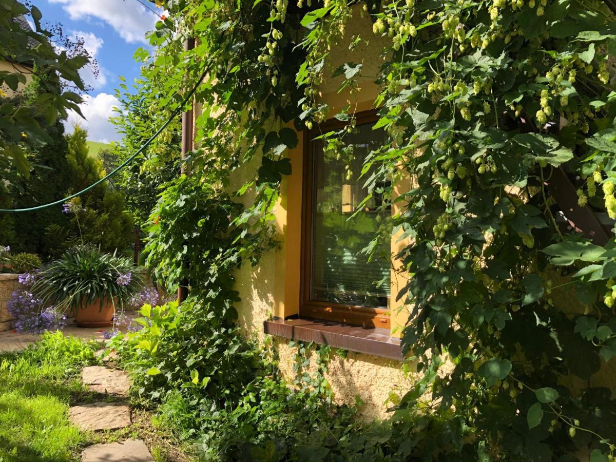 Ferienhaus Erzgebirge "An Der Trebe" Mit Kamin Und Sauna Neuhausen  Exteriér fotografie