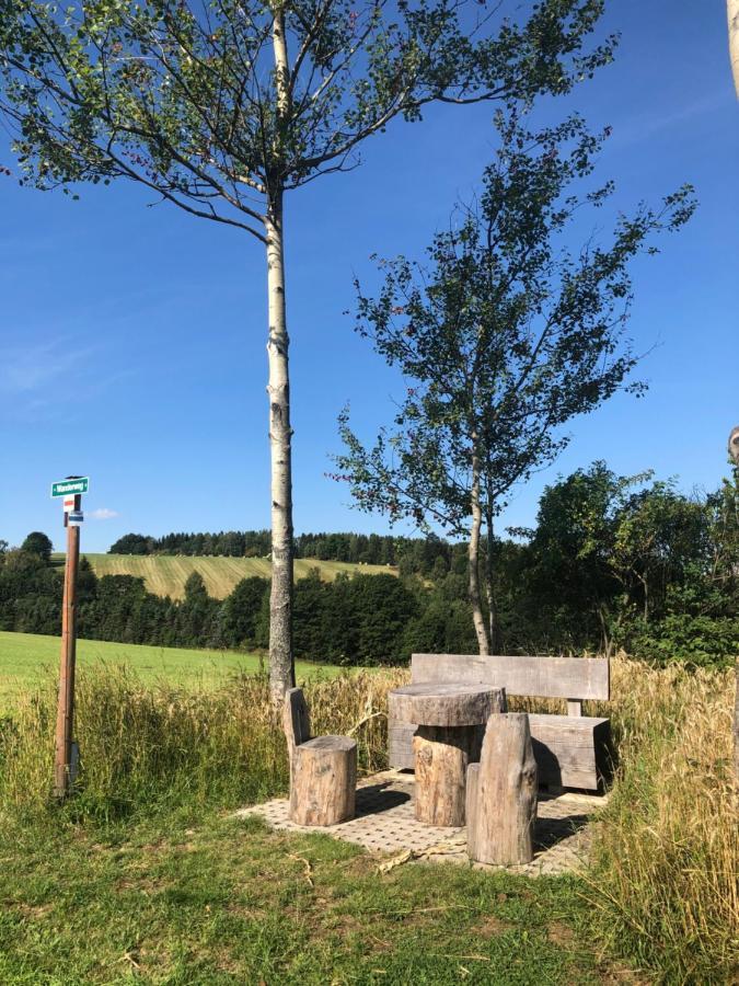 Ferienhaus Erzgebirge "An Der Trebe" Mit Kamin Und Sauna Neuhausen  Exteriér fotografie