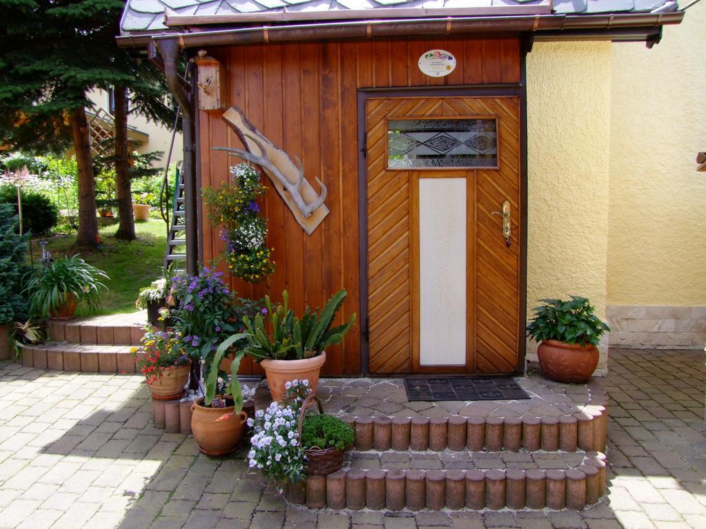 Ferienhaus Erzgebirge "An Der Trebe" Mit Kamin Und Sauna Neuhausen  Pokoj fotografie