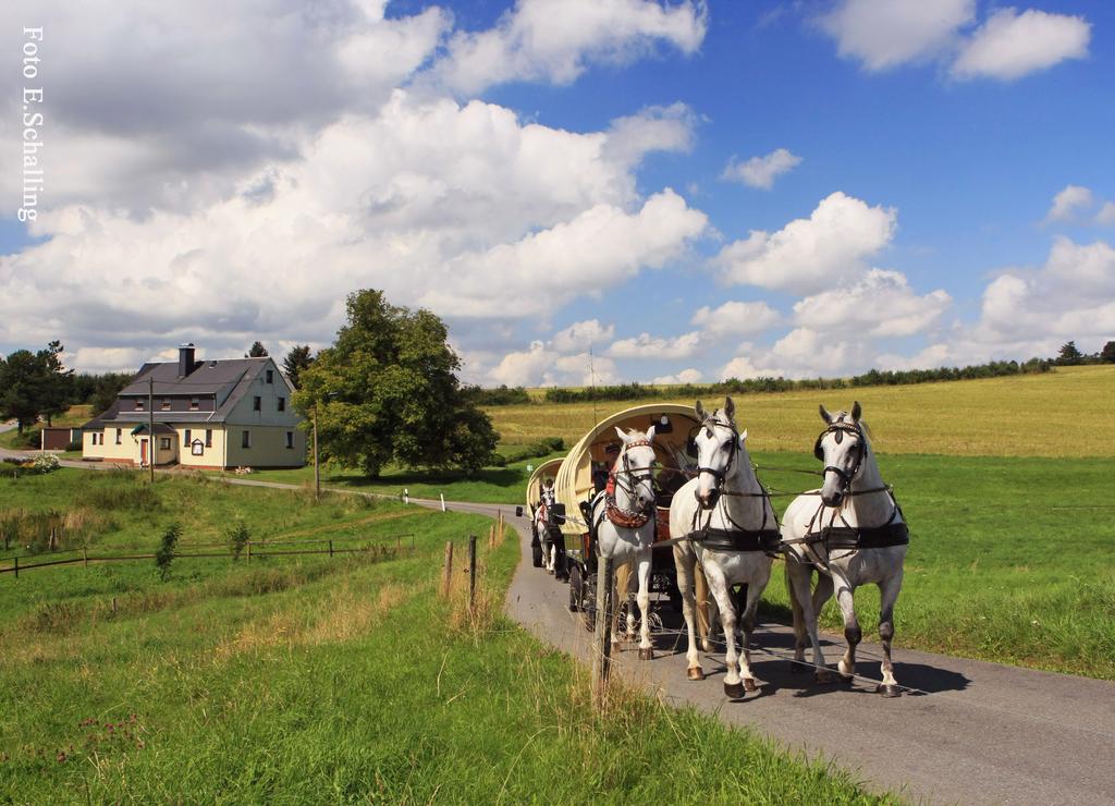 Ferienhaus Erzgebirge "An Der Trebe" Mit Kamin Und Sauna Neuhausen  Exteriér fotografie