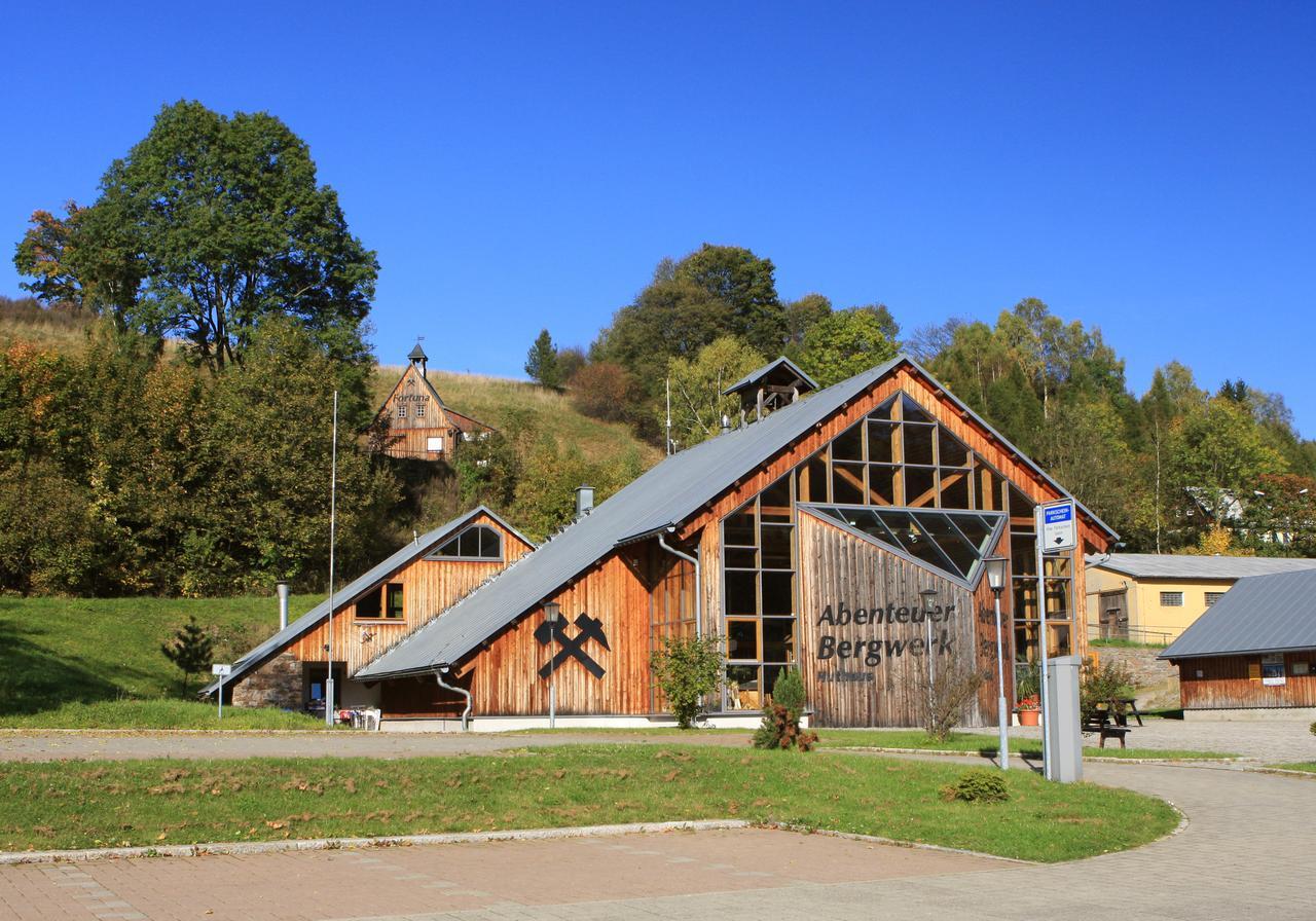 Ferienhaus Erzgebirge "An Der Trebe" Mit Kamin Und Sauna Neuhausen  Exteriér fotografie